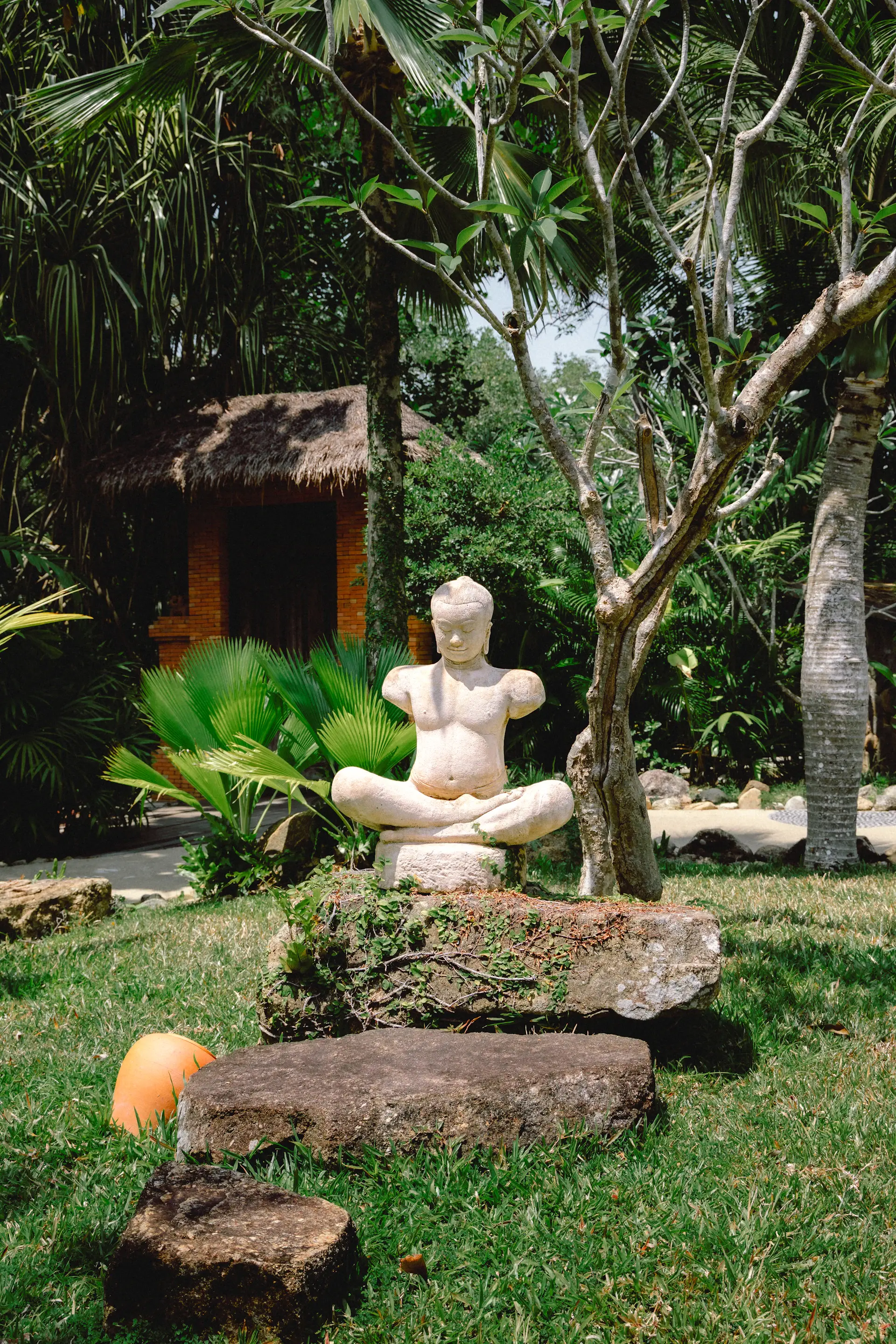 Hành trình wellness và phục hồi thân tâm