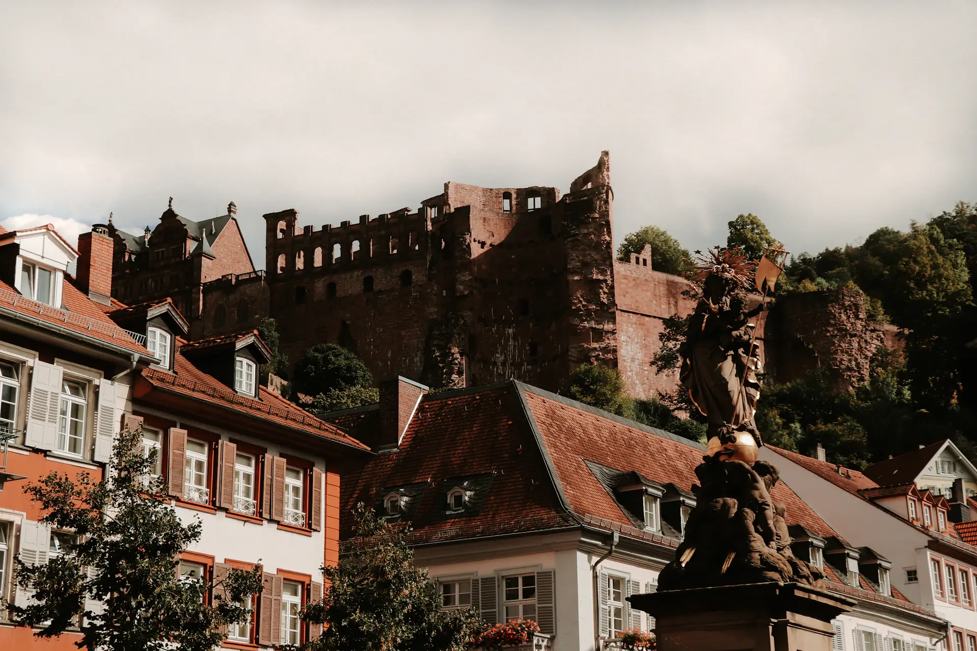 Universität Heidelberg