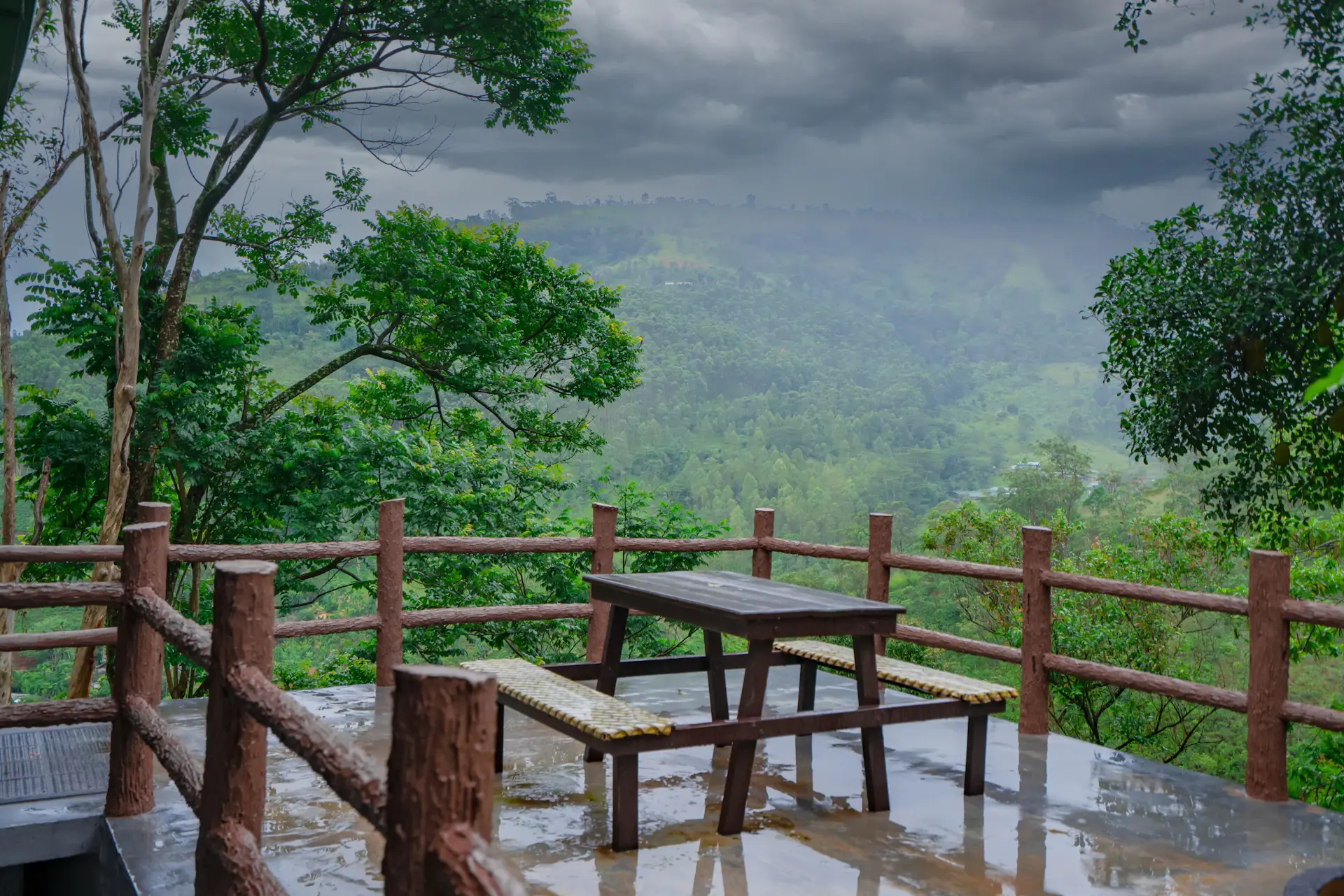 Hiên nghỉ với ghế thư giãn nhìn ra cánh rừng buổi sáng