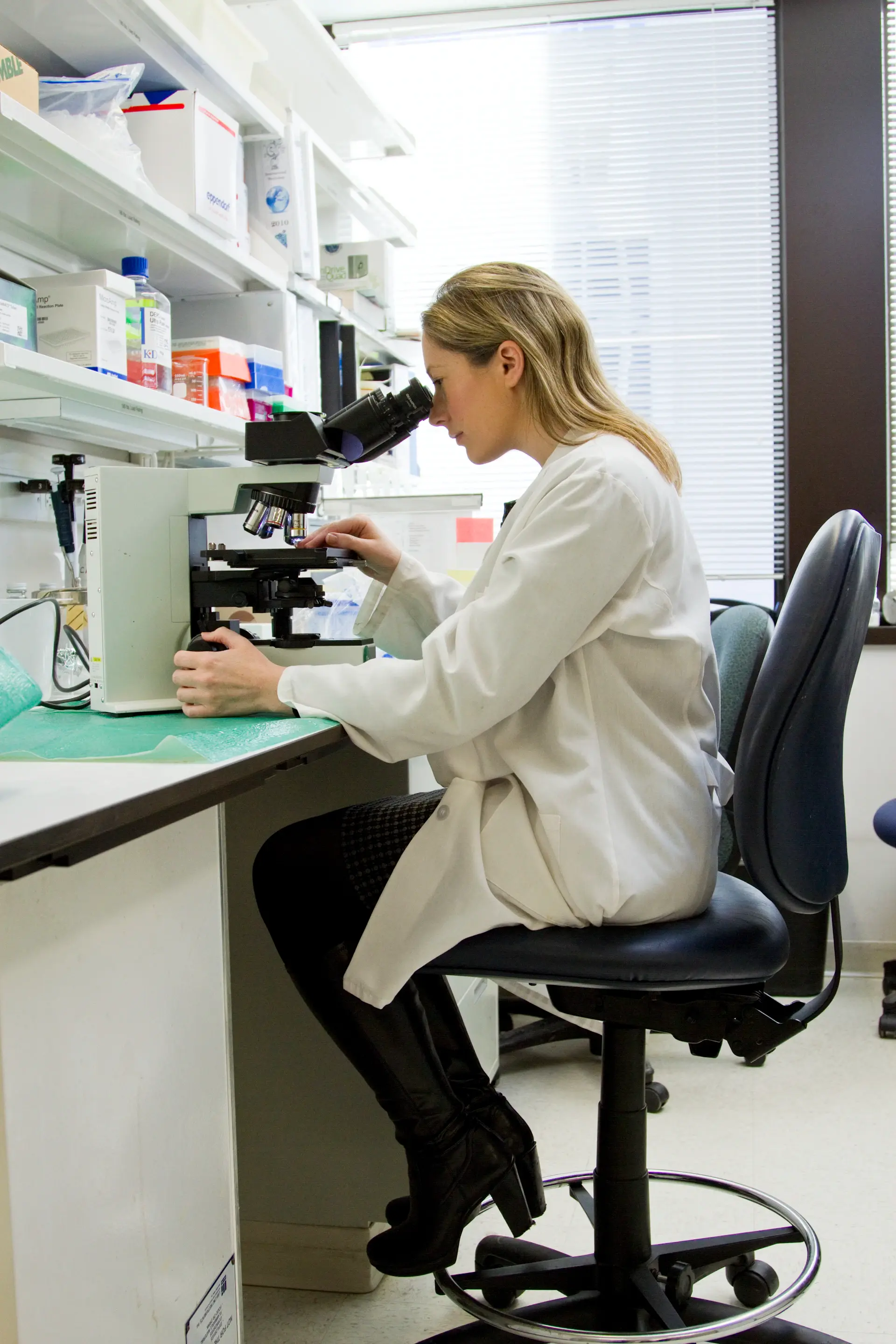 Physician analysing longevity data on a refined display