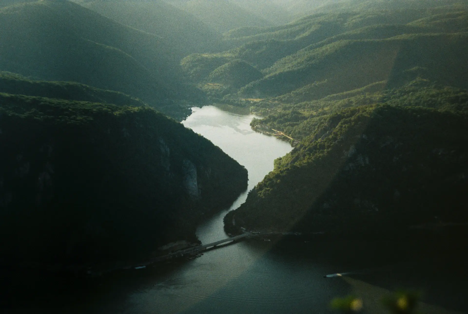 Soft morning light falling across a misty forest valley