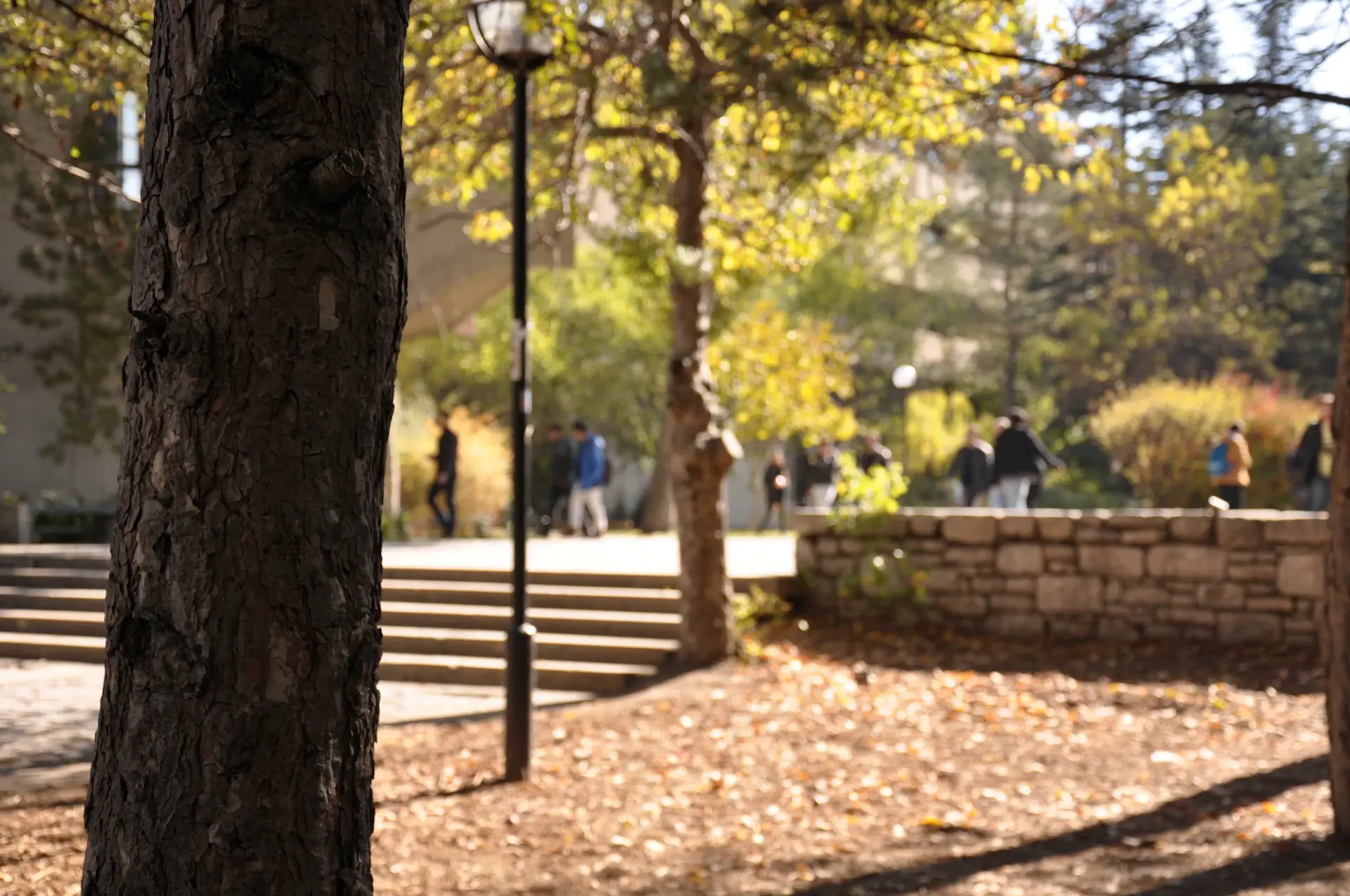 International students walking across a sunlit university campus