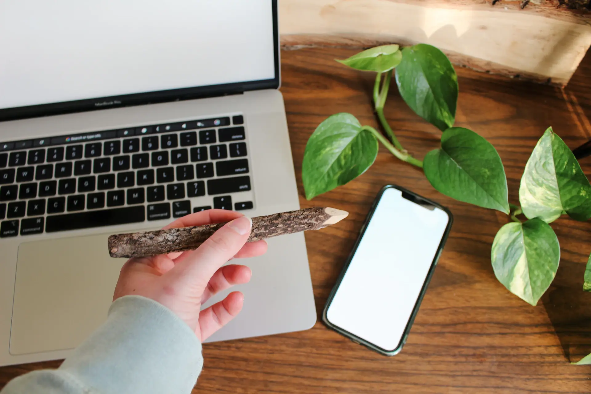 E-commerce outdoor brand website design
