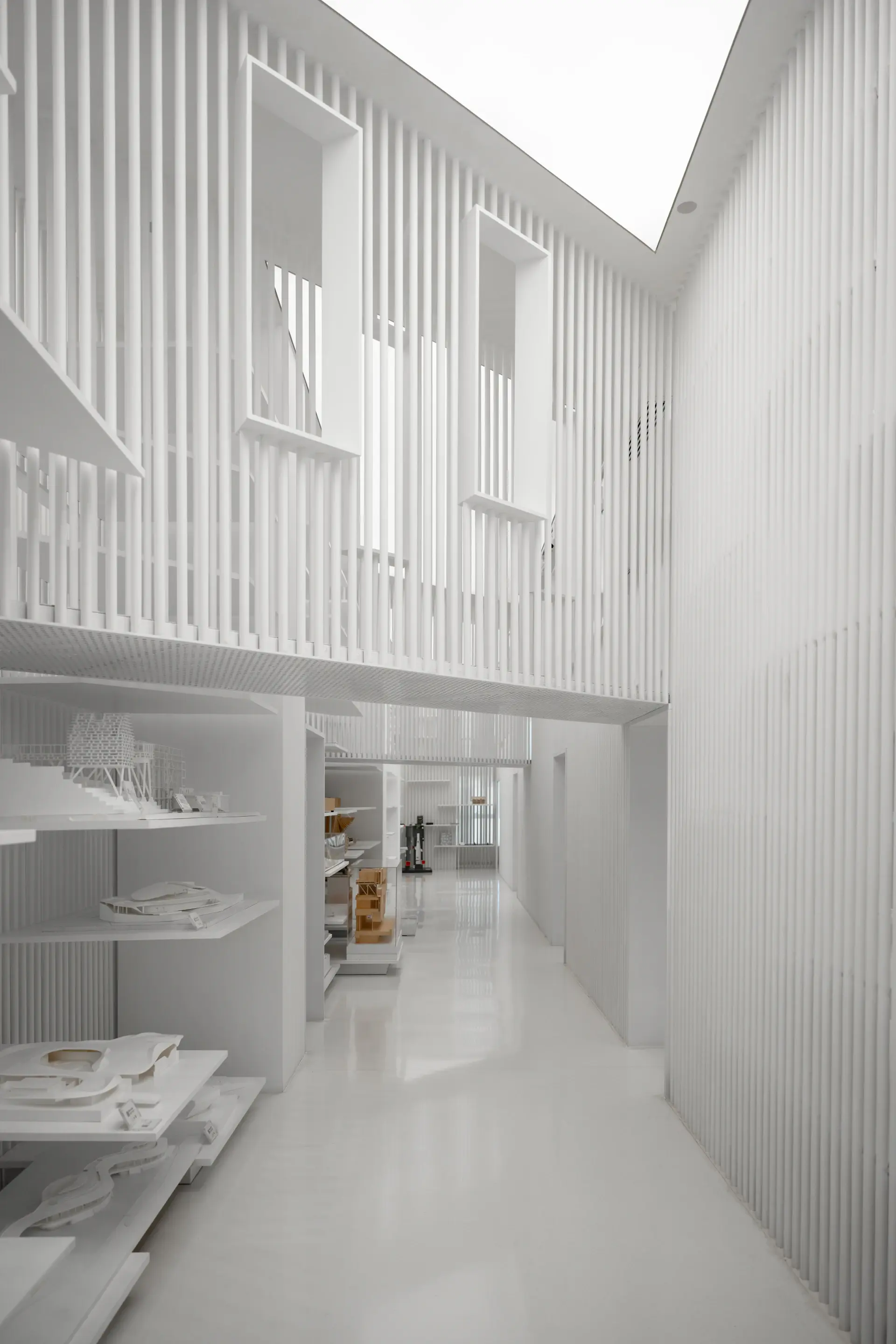 Serene diagnostic suite in warm natural light