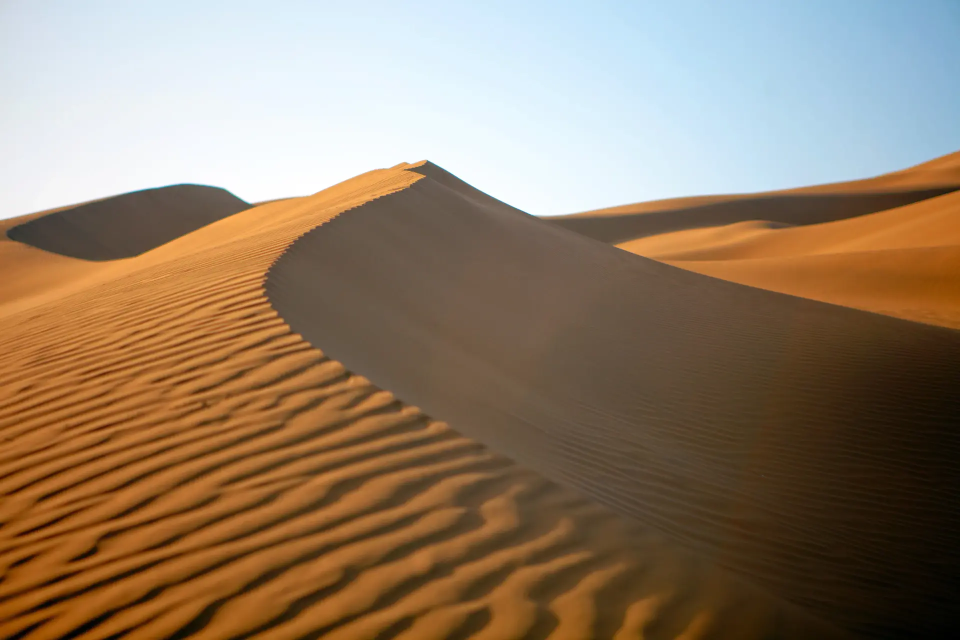 Wind-carved dunes glowing in low golden light