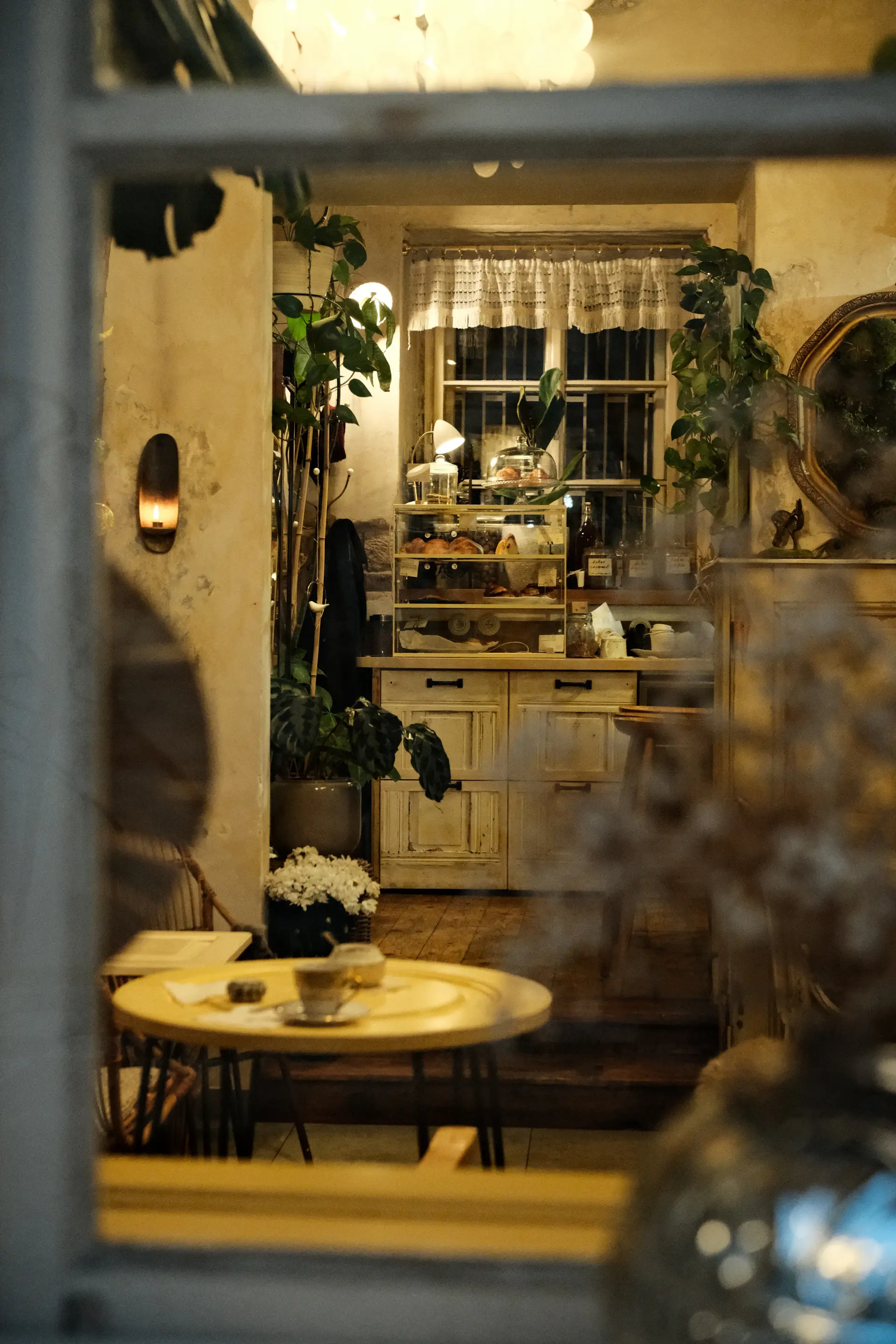 Cozy café corner with hanging greenery