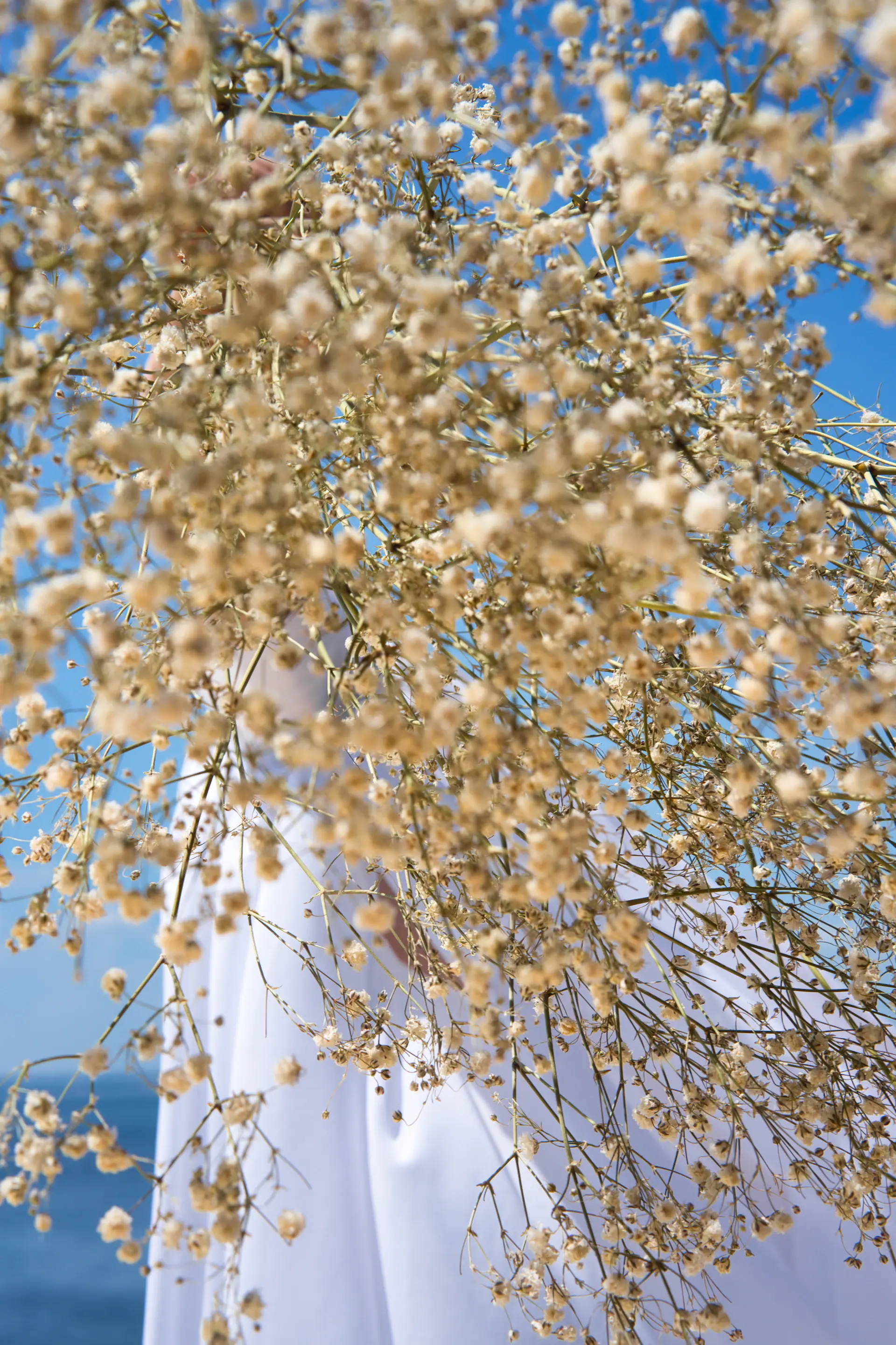 Ivory and gold spring blossom wedding canopy