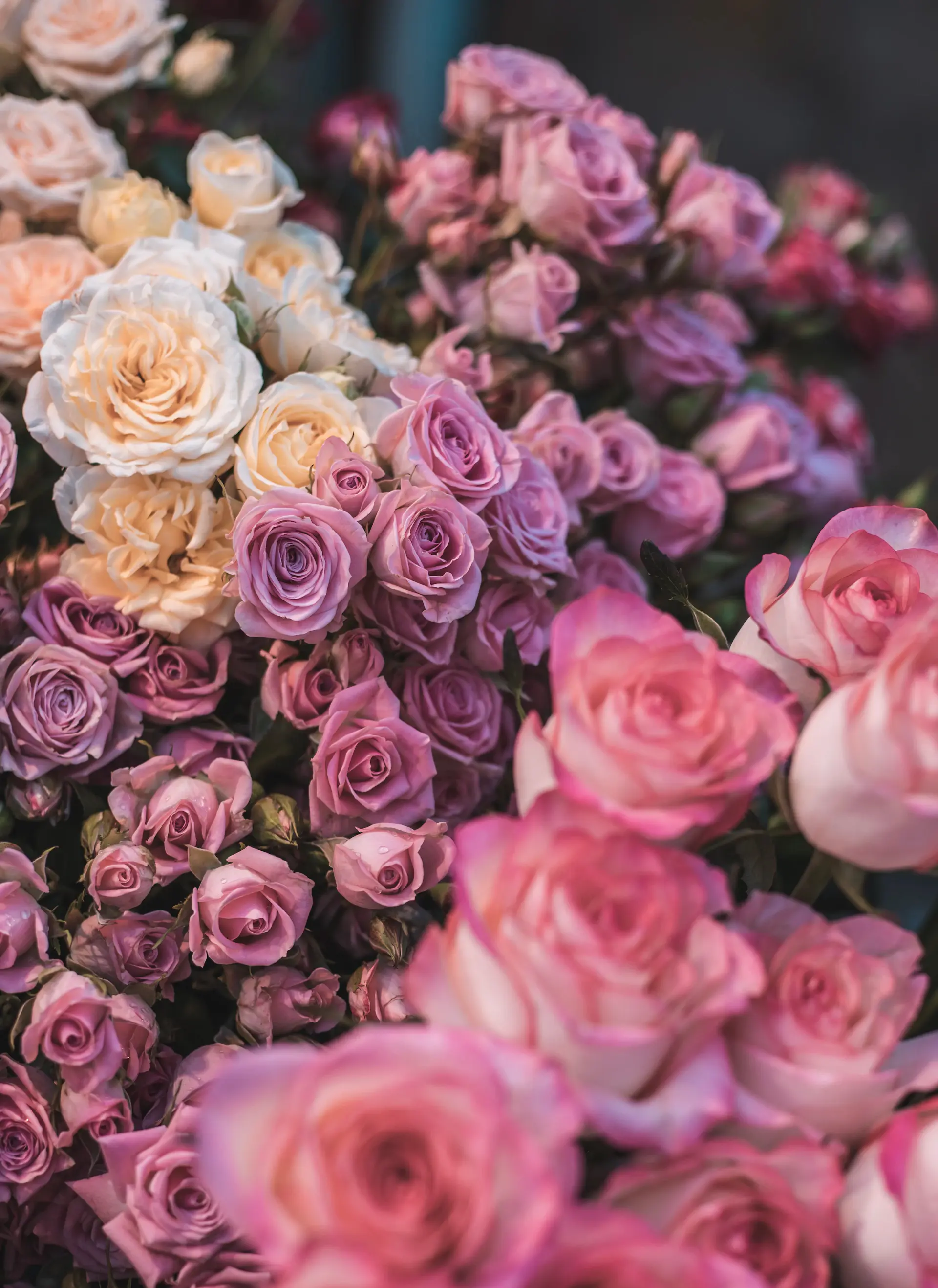 Góc xưởng hoa đầu tiên của Rose Lumière với những bó hồng vừa dựng