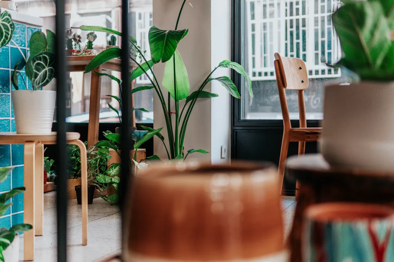 Cafe Bohemian