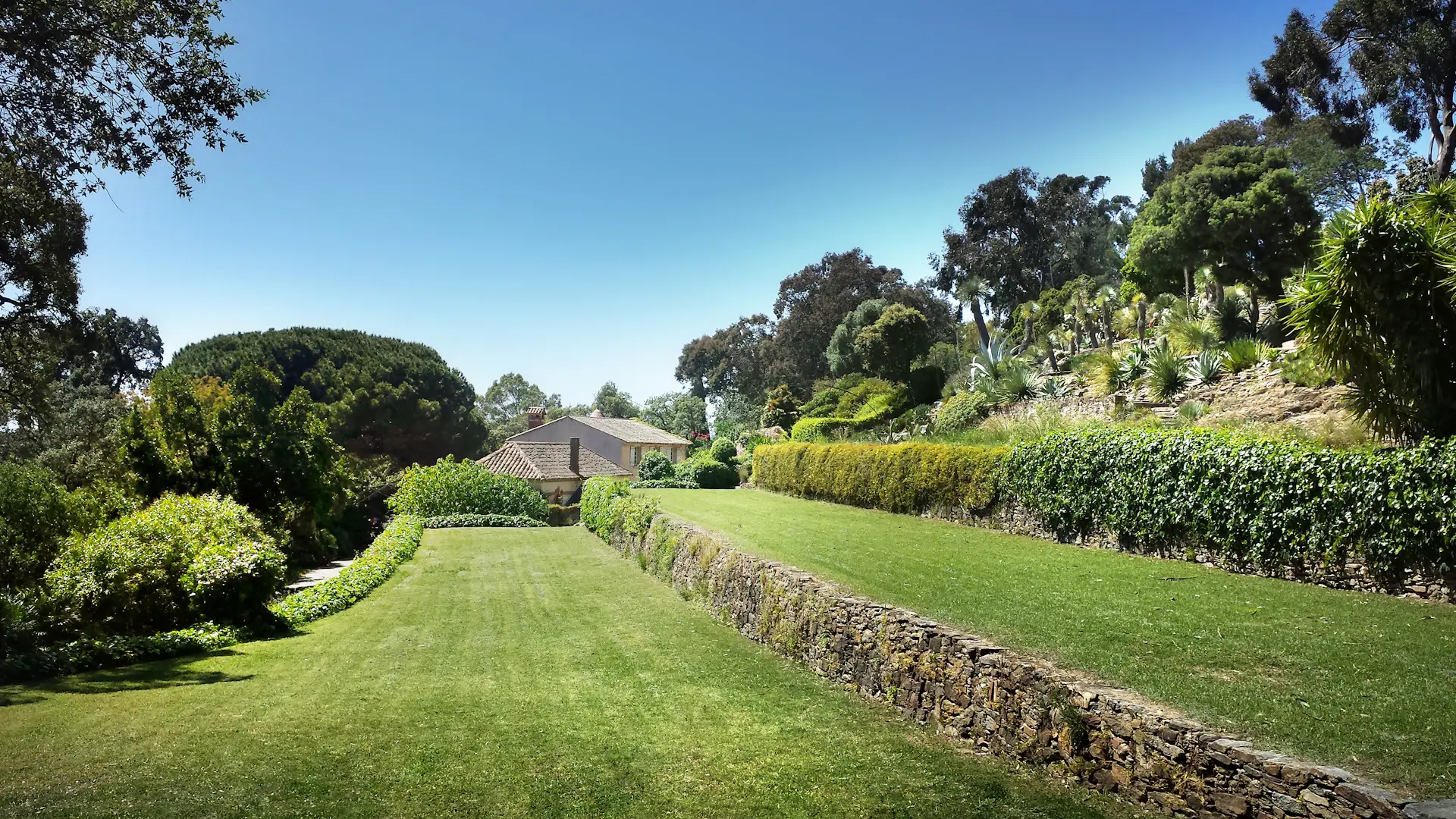 Hillside estate with terraced gardens