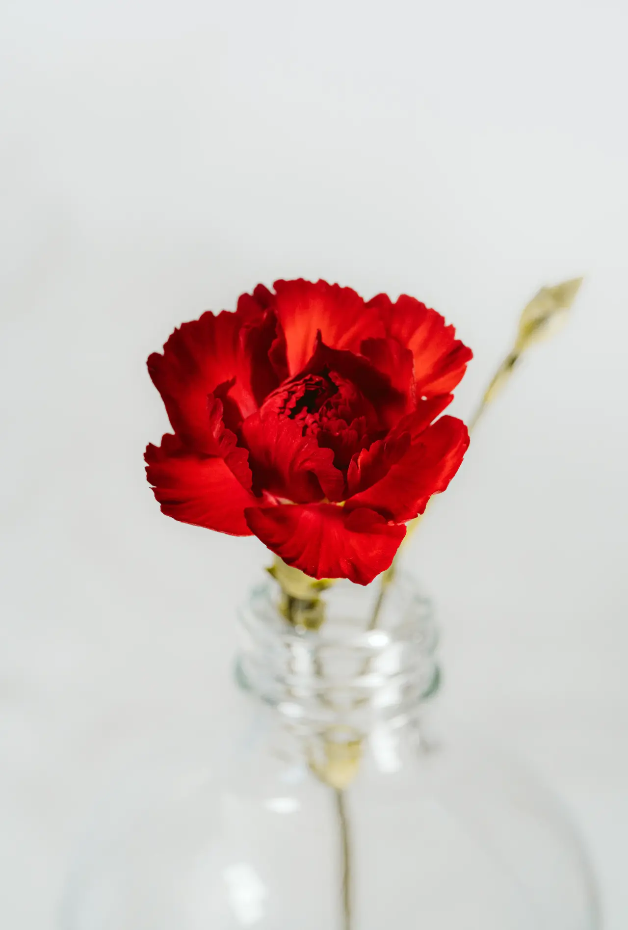 Minimal white rose wedding installation