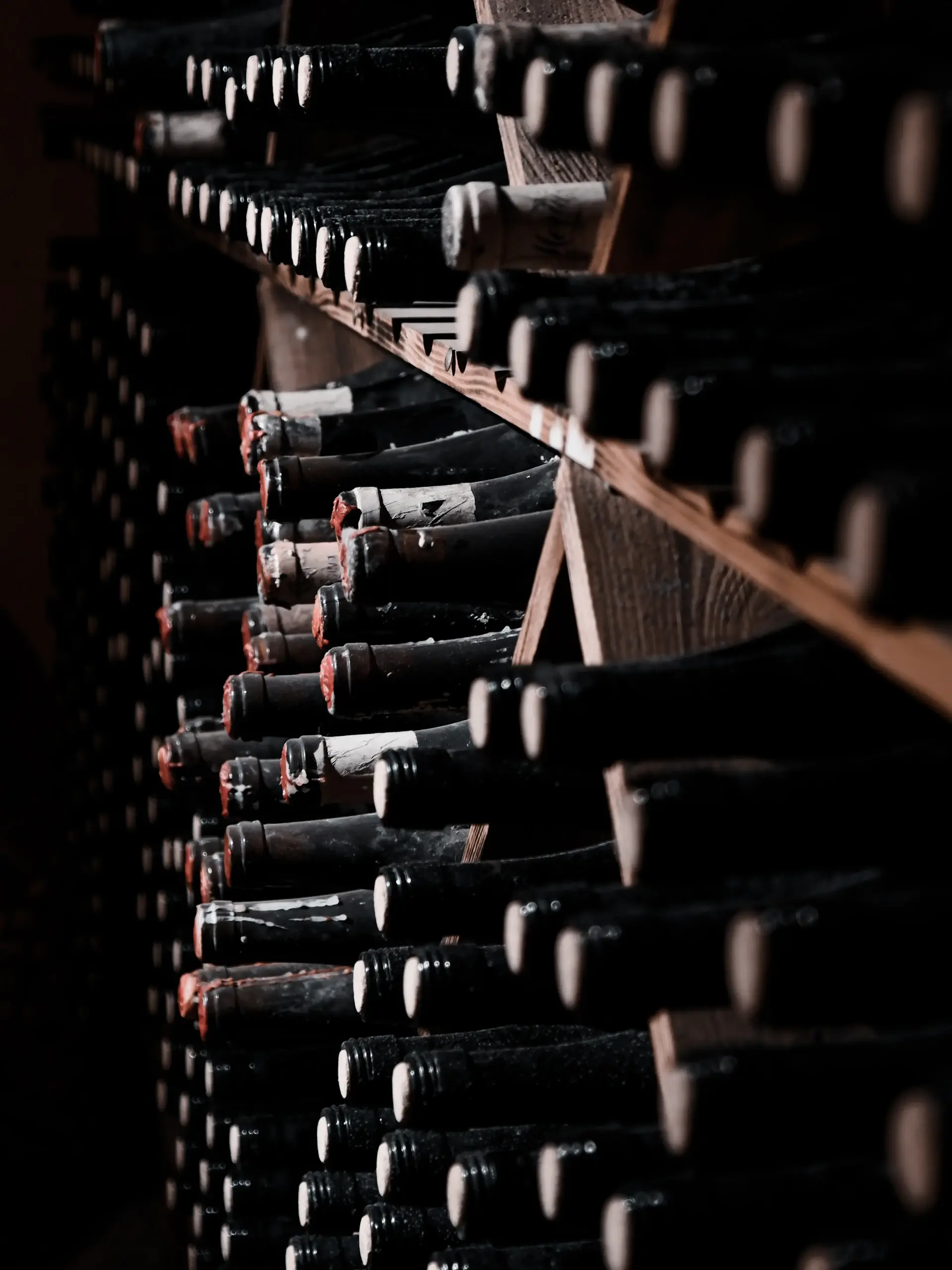 A cellar of rare vintages lit softly