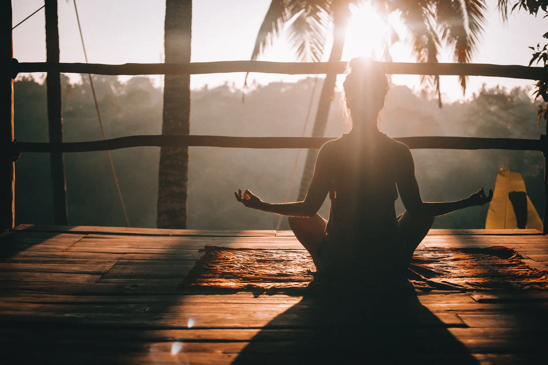 Hành trình wellness phục hồi năng lượng