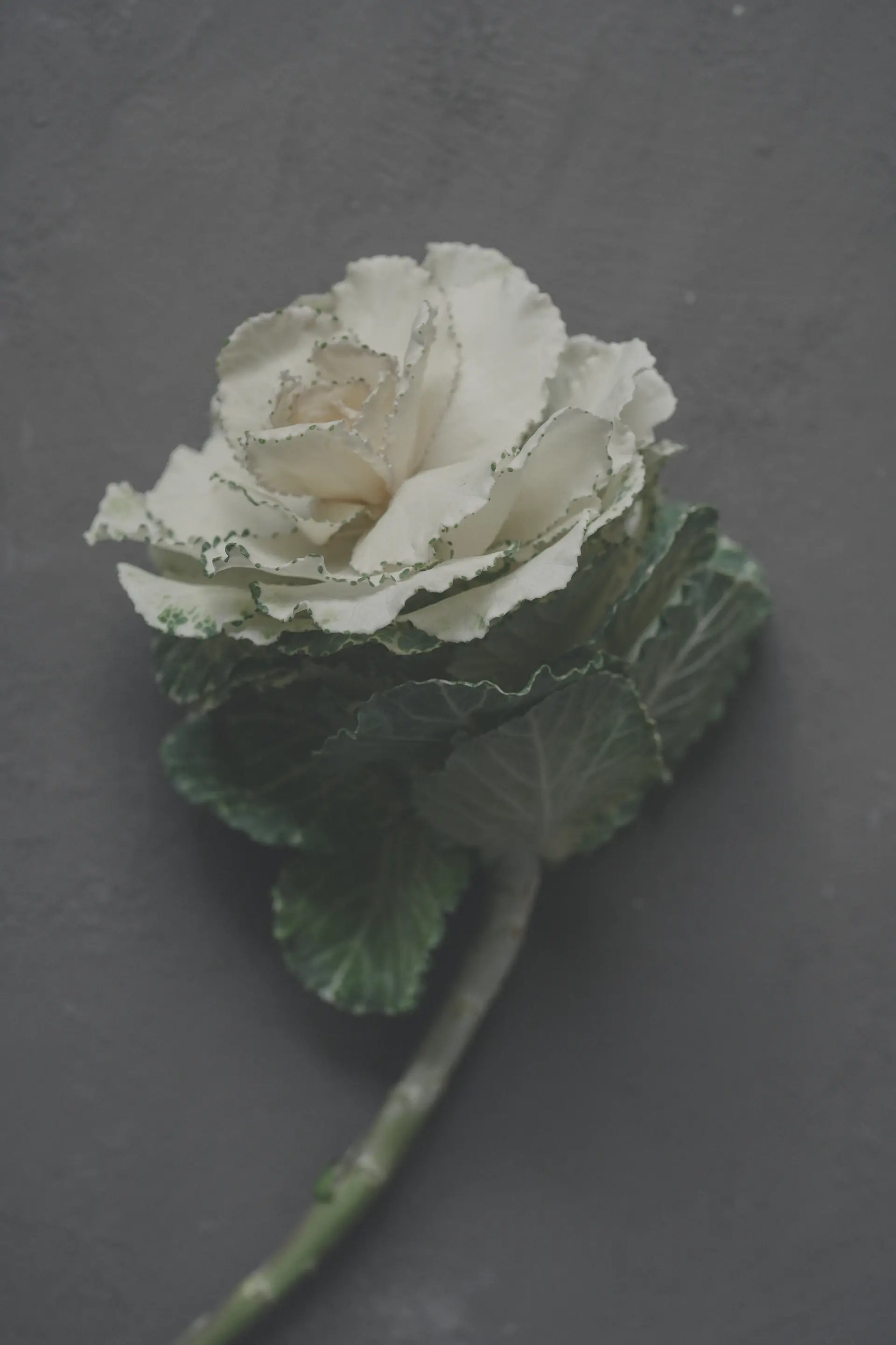 Ivory bridal bouquet