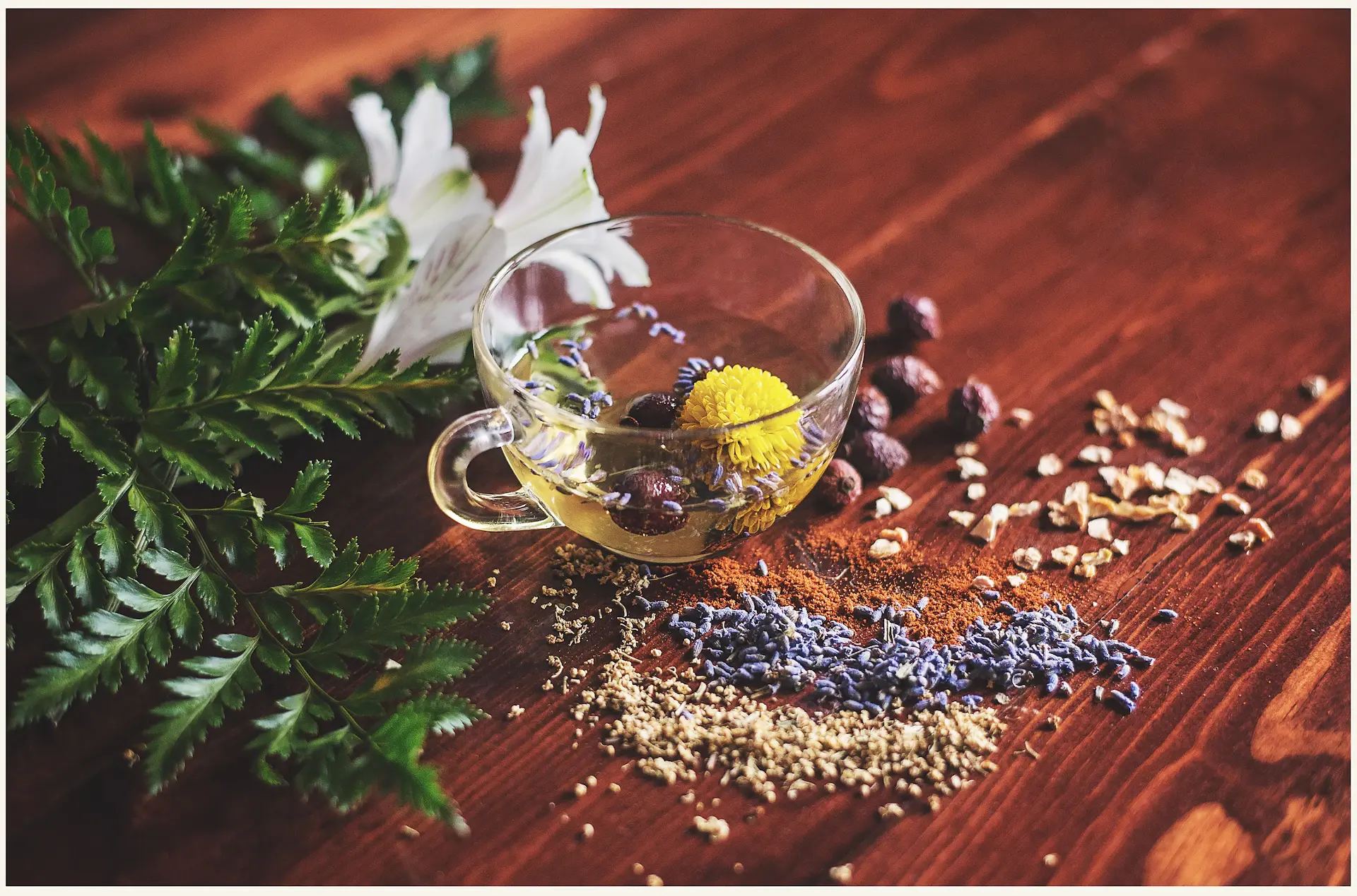 Nghi thức pha trà sen buổi sớm tại An Lam