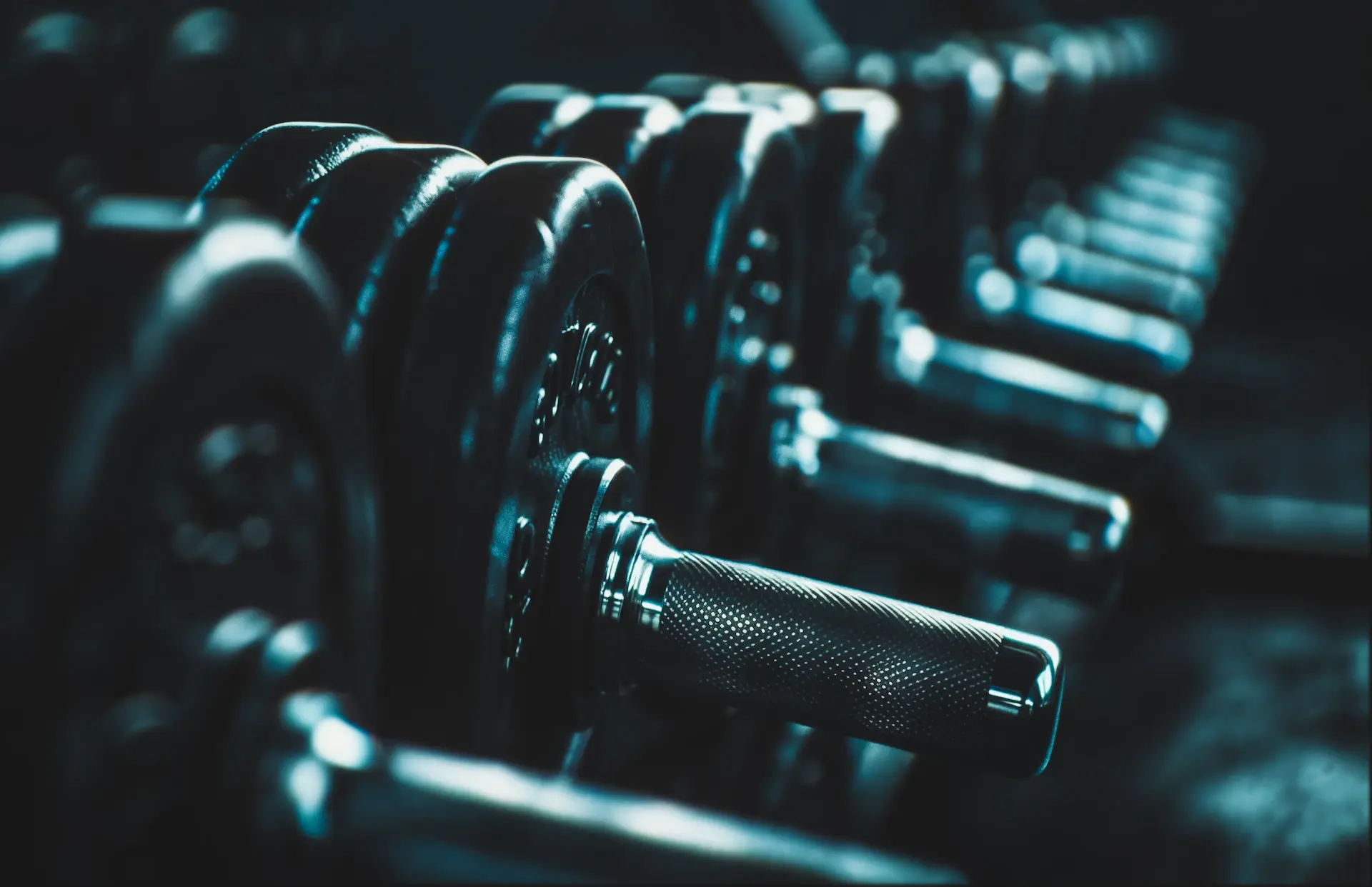 Pulse Fitness brand website