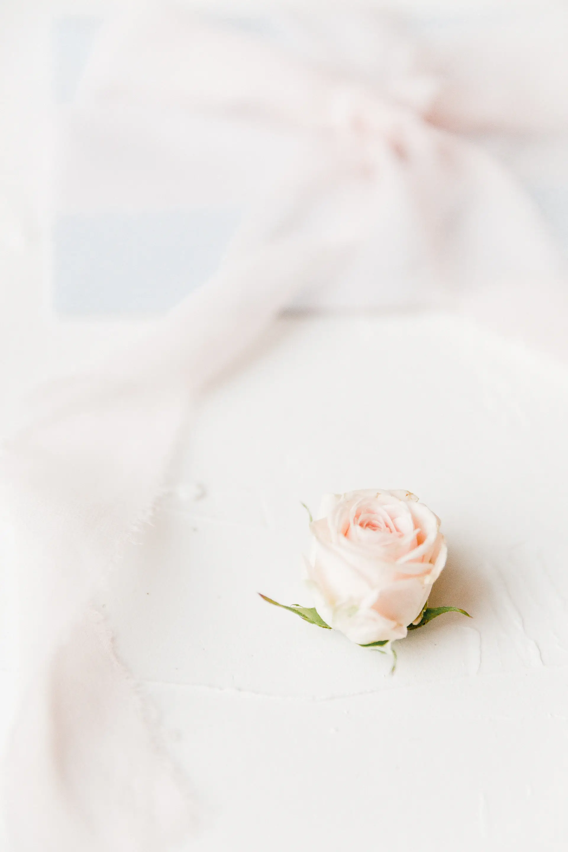 Bridal stems laid flat