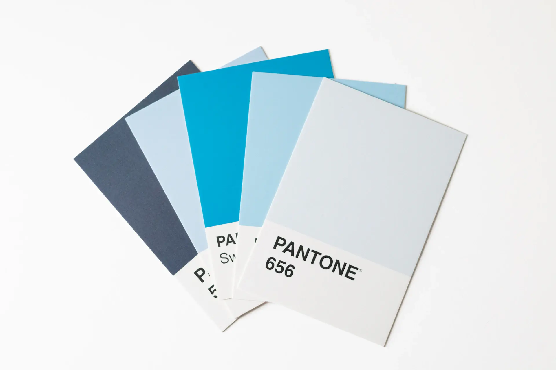 Brand identity prints and color swatches arranged on a desk