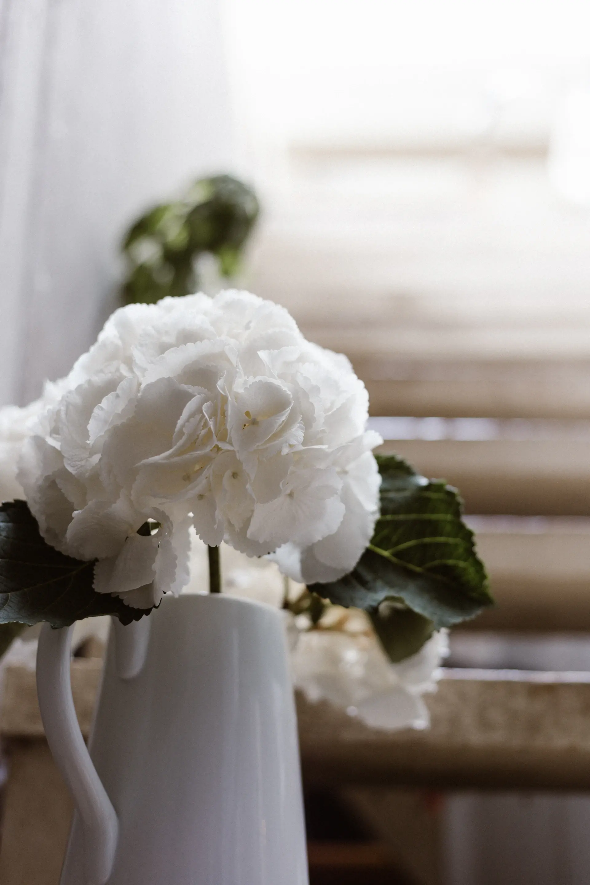 Close detail of rose petals being trimmed